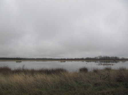 laguna de paramo